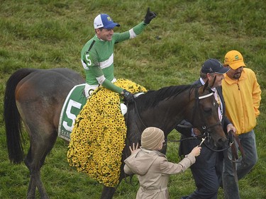 Kent Desormeaux atop Exaggerator celebrates winning the 141st Preakness Stakes horse race at Pimlico Race Course, Saturday, May 21, 2016, in Baltimore.