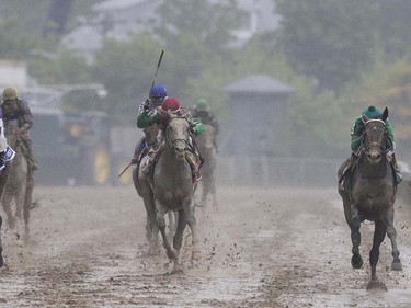 Exaggerator, right, with Kent Desormeaux aboard wins the 141st Preakness Stakes horse race at Pimlico Race Course, Saturday, May 21, 2016, in Baltimore. Cherry Wine, left, with Corey Lanerie aboard places second and Nyquist with Mario Gutierrez riding placed third.