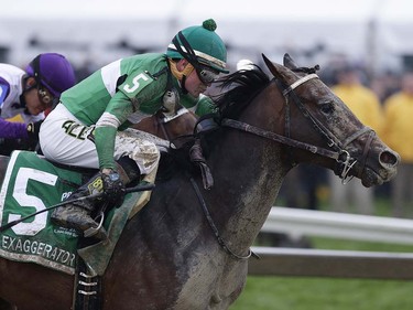 Exaggerator with Kent Desormeaux aboard moves past Nyquist with Mario Gutierrez during the 141st Preakness Stakes horse race at Pimlico Race Course, Saturday, May 21, 2016, in Baltimore. Exaggerator won the race.