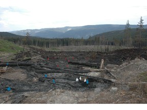 Scene of a fire investigation. The flags represent the location of a fire indicator and the colours represent different directions of fire travel.  [PNG Merlin Archive]