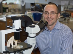 Head researcher and UBC professor Stuart Turvey is also a pediatric immunologist, senior clinician scientist and director of clinical research at B.C. Children’s Hospital.