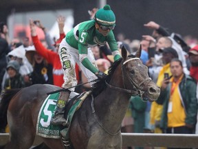 BALTIMORE, MD - MAY 21:  Exaggerator ridden by Kent Desormeaux leads the field to win the 141st running of the Preakness Stakes at Pimlico Race Course on May 21, 2016 in Baltimore, Maryland.