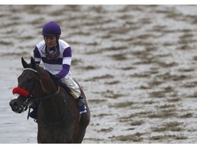 BALTIMORE, MD - MAY 21:  Mario Gutierrez jockey of Nyquist looks on after losing in the 141st running of the Preakness Stakes at Pimlico Race Course on May 21, 2016 in Baltimore, Maryland.