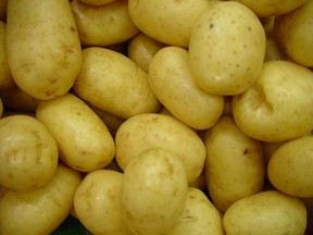 Potatoes need small amounts of slow-release nitrogen. Too much will harm productivity.