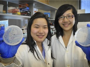 Miranda Wang and Jeanny Yao hold up culture plates after uncovering bacteria that can break down plastics.
