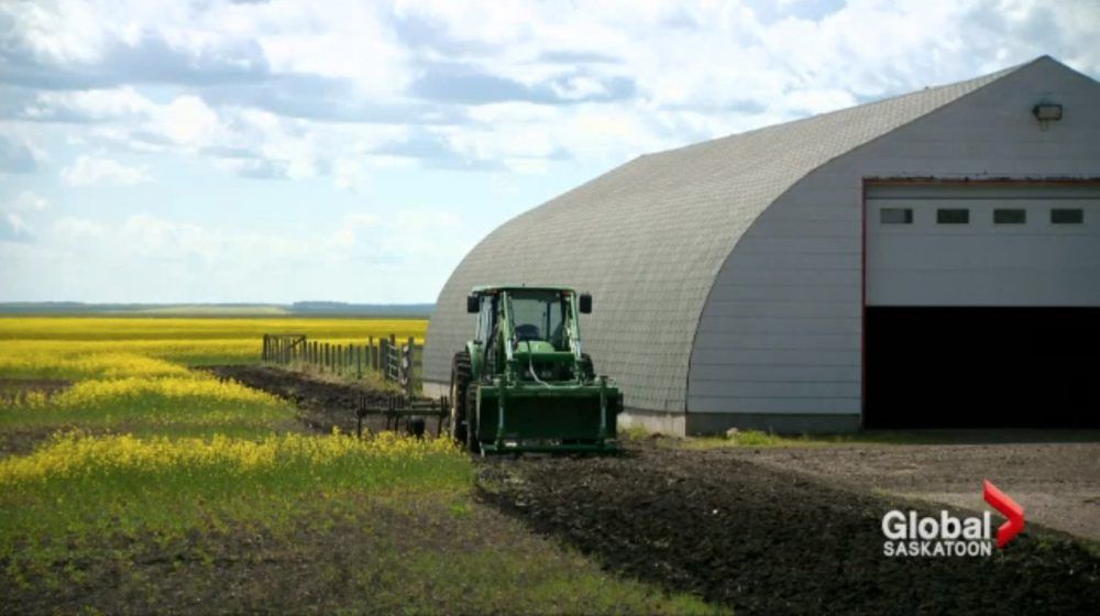 Mandatory credit: Global Saskatoon Saskatchewan farmer Jim Taylor's farm ( west of Melfort) Angela Nicholson of Melfort and Curtis Vey of Wakaw, both 49, are charged with conspiring to commit murder. For a Jason Botchford story [PNG Merlin Archive]