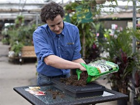 Co-owner of Salisbury Greenhouse, Rob Sproule fills a tray with soil to plant tomato seeds .
