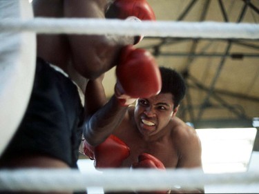 1972:  MUHAMMAD ALI IN ACTION AGAINST AL ''BLUE'' LEWIS IN DUBLIN, IRELAND. Mandatory Credit: Allsport UK/ALLSPORT ORG XMIT: 175309080      Muhammad Ali options ORG XMIT: POS1606031702480248