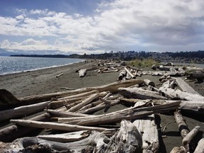 Beach logs in British Columbia, Canada, part of the Cascadian bio-region that includes Washington and Oregon.