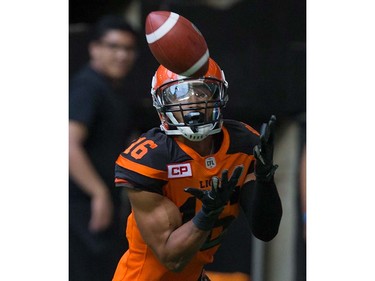 B.C. Lions' Bryan Burnham makes a reception for a touchdown during the first half of a pre-season CFL football game against the Calgary Stampeders in Vancouver, B.C., on Friday June 17, 2016. THE CANADIAN PRESS/Darryl Dyck ORG XMIT: VCRD114