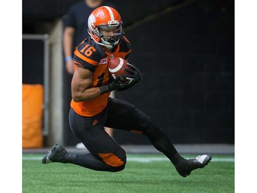B.C. Lions' Bryan Burnham makes a reception for a touchdown during the first half of a pre-season CFL football game against the Calgary Stampeders in Vancouver, B.C., on Friday June 17, 2016. THE CANADIAN PRESS/Darryl Dyck ORG XMIT: VCRD111