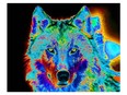 Wolf, a C print by Dana Claxton, is one of the works in the silent auction at the World Alzheimer's Day fundraiser at Lancaster House, London, Sept. 21.
