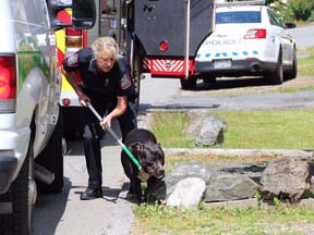 Four women were rushed to hospital Friday afternoon after they tried to break up a fight between their three pit bulls. Photos courtesy of Shane Mackichan. [PNG Merlin Archive]