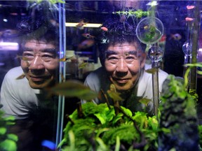 Kwang Lee, co-owner of King Ed Pet Centre in Burnaby, says taking care of salt-water fish, such as a Blue Tang or Dory, can be a real handful for a novice. Rafe Arnott/PNG
