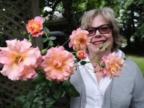 Elizabeth Sheppard with old garden roses.