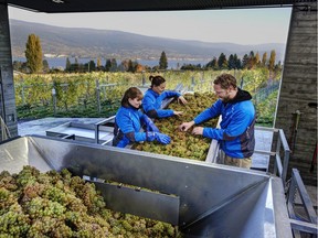 Okanagan Crush Pad is one of many B.C. wineries with a wine club.