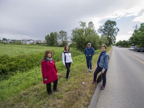 Patricia Gordon, Corinne O'Handley, Bob Meachen, and Leslie Bennewith, left to right stand on Fraser Way near their neighbourhood in Pitt Meadows. The residents are concerned about the impact light industrial development is having on their community.