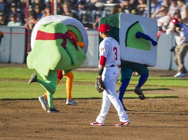 VANCOUVER,BC:JUNE 20, 2016 -- Running sushi sprint past Vancouver Canadians Yeltsin Gudino during in game entertainment of Northwest League baseball action against the Everett AquaSox at Nat Bailey Stadium in Vancouver, BC, June, 20, 2016.
