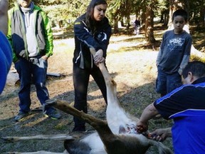 The Lytton First Nation started a hunting training camp that is run every fall for young members after two men admitted to wasting three bighorn sheep. The intent is to provide good hunting role models for youth.
