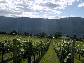 Tips for planning a tour of Okanagan Wineries