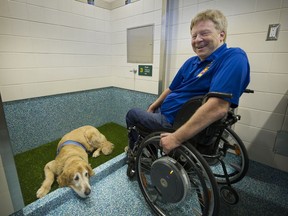 Chip, a nine-year-old golden retriever, and his owner, Brad McCannell, check out the newly opened pet-relief facility in Vancouver airport's departure area Wednesday. McCannell, who is vice-president of access inclusion with the Rick Hansen Foundation, says the relief area is a huge help to those travelling with assistance dogs.