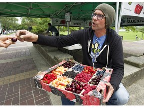 VANCOUVER June 22 2016. Rob Smith hands out a cherry at one of his his fruit stands located beside David Lam park, Vancouver June 22 2016.( Gerry Kahrmann  /  PNG staff photo)   ( For Sun Business)  00043859B Story by Jenny Lee [PNG Merlin Archive]