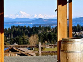 View from the tasting room at DeVine Vineyards and Distillery.