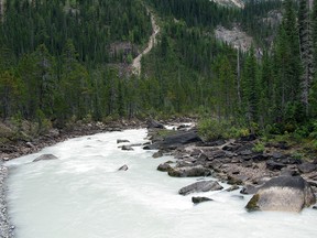 An 11-year-old Calgary boy fell into the Yoho River at the Yoho National Park on Friday, July 22.