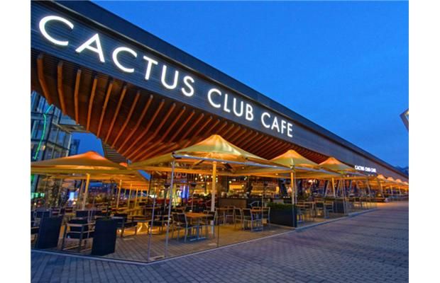 B.C. construction exec resigns over Cactus Club groping incident