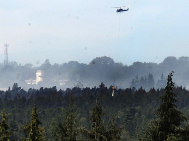 DELTA, BC., July 4, 2016 -- Fire fighters continue to fight a stubborn bog fire at Burns Bog in Delta, BC., July 4, 2016.  The fire listen percent contained. (Nick Procaylo/PNG)   00044020A  [PNG Merlin Archive]
