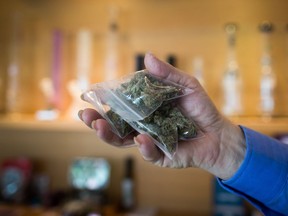 B.C. study says rats remain slackers even when given medicinal part of marijuana