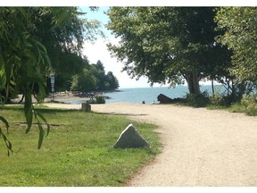 Eight trees at Vancouver's Spanish Banks beach have been intentionally vandalized, and the park board is seeking the public's help in locating the culprits.