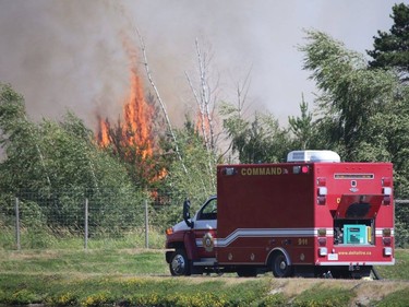 Fire crews have made significant progress on the blaze in Delta's Burns Bog.