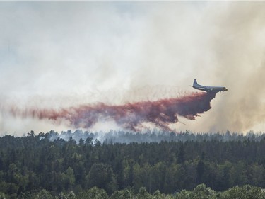 Firefighters battle a blaze inside the Burns Bog area in Delta, July 3, 2016.