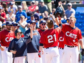 The Victoria HarbourCats won a league-record 19 straight games this season.