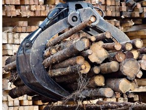 The Canadian forest industry is on the verge of another watershed moment. The Softwood Lumber Agreement has lapsed, while efforts are underway to ratify the Trans-Pacific Partnership, creating both opportunities to take advantage of new markets and growing fears about future trade actions from the United States, its largest trade partner.