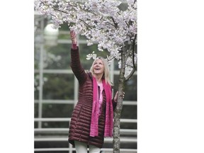 Linda Poole, executive director of the Vancouver Cherry Blossom Festival, shows off the blooms at the Burrard SkyTrain Station.