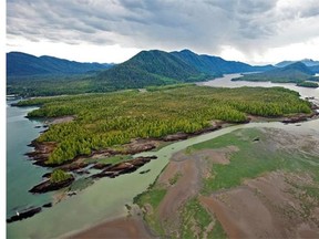 Looking across Flora Bank at low tide to the Pacific NorthWest LNG site on Lelu Island, in the Skeena River Estuary near Prince Rupert.