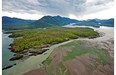 Looking across Flora Bank at low tide to the Pacific NorthWest LNG site on Lelu Island, in the Skeena River Estuary near Prince Rupert.