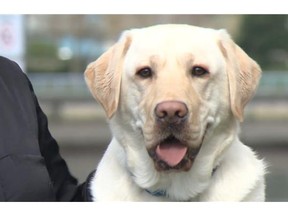 Sue Baker of the Vancouver police victims unit poses Tuesday with Lucca.