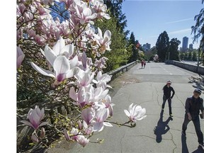 March is promising to end with a week of high and dry weather in Metro Vancouver, with temperatures well above normal and sunny skies for days.