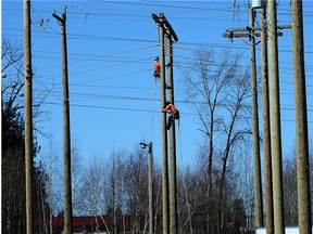 The orange and white cat named Miss Kitty climbed a BC Hydro power pole in Princeton, about 300 kilometres east of Vancouver, on Monday and refused to come down.