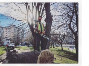 Arborist Jody Taylor was crushed by a branch Thursday, March 31, 2016 as he pruned a damaged Catalpa tree in Connaught Park in Vancouver.