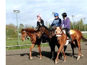 Hastings Racecourse Horse Trainer
