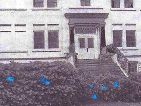 Partly colourized black and white image, circa late 1940s, of the blue hydrangea, planed between 1942 and1946 at Chilliwack Middle School to commemorate Royal Canadian personnel from the local area who died in the Second World War.