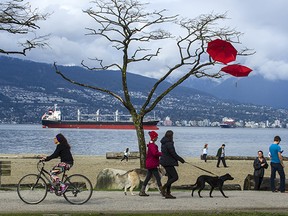 Classic Vancouver Spring Tableau: Dog walkers, cyclists, walkers texting, beach walkers on cell phone,  kids playing frisbee, with freighter in the background topped off with  red umbrellas in a  tree.  Photo along Spanish Banks.