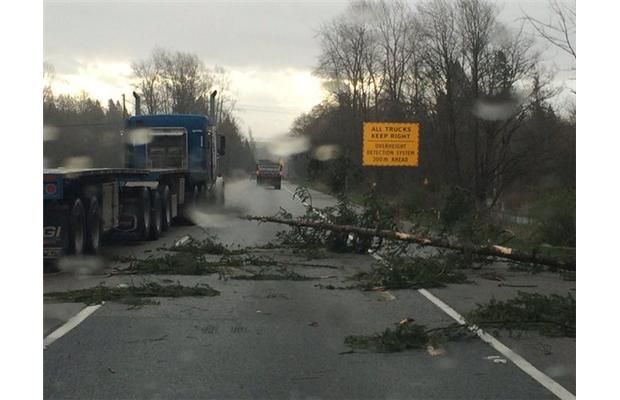 Still Some Residents Without Power After Powerful Windstorm In Metro ...