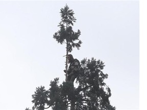 A Seattle Police negotiator tries to coax tries a man out of an 80-foot tree in downtown Seattle on Tuesday.