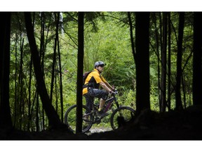 North Vancouver   B.C.  July 19, 2016  Epic ride-- reporter John Colebourn navigates his way in and around the dramatic surrounding of the Seymour mountain bike trails,  including the Severed D route near the base of Mount Seymour in North Vancouver on July 19, 2016 .  Here taking in all the beauty of the surrounding.     Mark van Manen/ PNG Staff photographer   see John Colebourn /Vancouver Sun/ Province   News   Features and Web. stories   00044092C [PNG Merlin Archive]