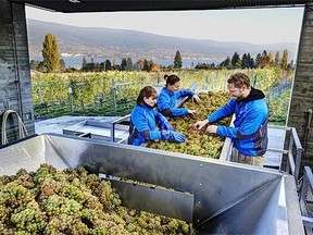 B.C.’s Okanagan Crush Pad has been accepted as an exhibitor at the exclusive U.K. artisan wine fair RAW London, to be held May 15 and 16. Photo Credit: Lionel Trudel.